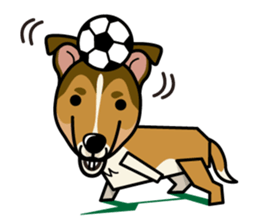 iinu - Smooth Collie sticker #12139444