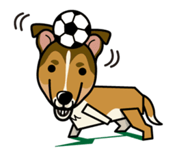 iinu - Smooth Collie sticker #12139444