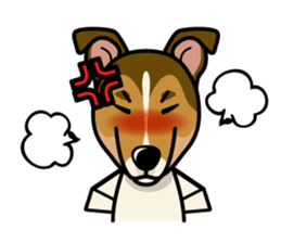 iinu - Smooth Collie sticker #12139445