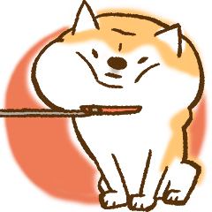 Shiba Inu Dog Shinbe 2