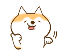 Shiba Inu Dog Shinbe 2 sticker #12139531