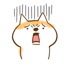 Shiba Inu Dog Shinbe 2 sticker #12139534
