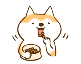 Shiba Inu Dog Shinbe 2 sticker #12139536