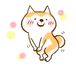 Shiba Inu Dog Shinbe 2 sticker #12139540