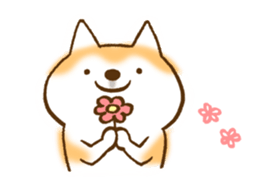 Shiba Inu Dog Shinbe 2 sticker #12139543