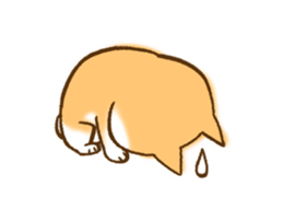 Shiba Inu Dog Shinbe 2 sticker #12139549