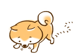 Shiba Inu Dog Shinbe 2 sticker #12139550