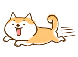Shiba Inu Dog Shinbe 2 sticker #12139551
