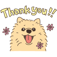 Lovely fluffy Pomeranian