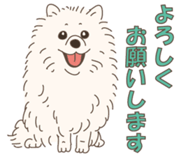 Lovely fluffy Pomeranian sticker #12139647