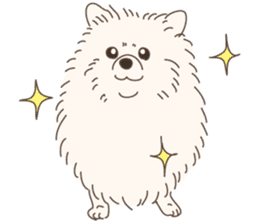 Lovely fluffy Pomeranian sticker #12139650