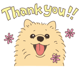 Lovely fluffy Pomeranian sticker #12139652
