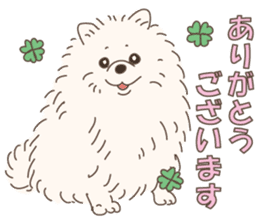 Lovely fluffy Pomeranian sticker #12139653