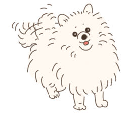 Lovely fluffy Pomeranian sticker #12139656