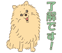 Lovely fluffy Pomeranian sticker #12139657