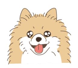 Lovely fluffy Pomeranian sticker #12139660