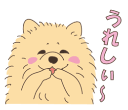 Lovely fluffy Pomeranian sticker #12139661