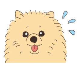 Lovely fluffy Pomeranian sticker #12139662