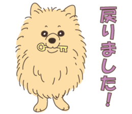 Lovely fluffy Pomeranian sticker #12139665