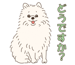 Lovely fluffy Pomeranian sticker #12139666
