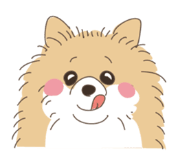 Lovely fluffy Pomeranian sticker #12139671