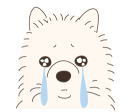 Lovely fluffy Pomeranian sticker #12139677