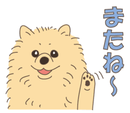 Lovely fluffy Pomeranian sticker #12139679