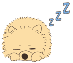 Lovely fluffy Pomeranian sticker #12139680