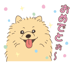 Lovely fluffy Pomeranian sticker #12139681