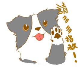 Border Collie Family(Chinese) sticker #12142686