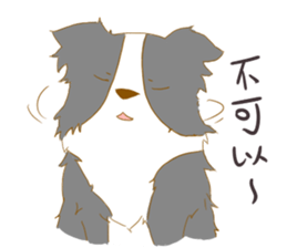 Border Collie Family(Chinese) sticker #12142689
