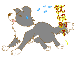 Border Collie Family(Chinese) sticker #12142694