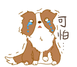 Border Collie Family(Chinese) sticker #12142697