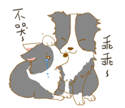 Border Collie Family(Chinese) sticker #12142704
