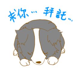 Border Collie Family(Chinese) sticker #12142707