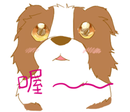 Border Collie Family(Chinese) sticker #12142708