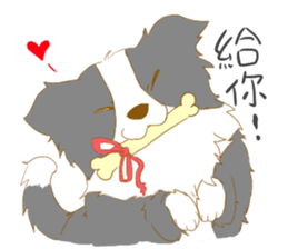Border Collie Family(Chinese) sticker #12142715