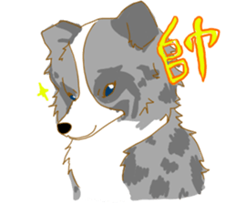 Border Collie Family(Chinese) sticker #12142718