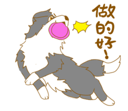 Border Collie Family(Chinese) sticker #12142719