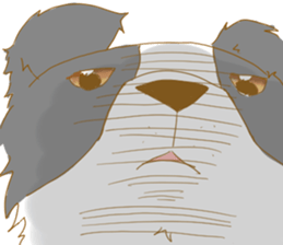 Border Collie Family(Chinese) sticker #12142723