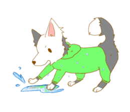 Border Collie Family(Chinese) sticker #12142724