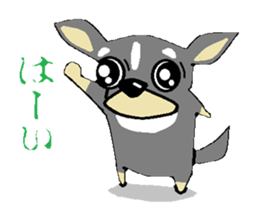 pretty dog chihuahua sticker #12143486