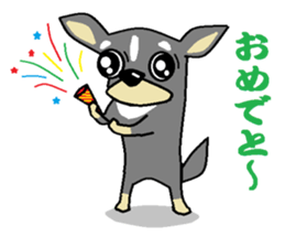 pretty dog chihuahua sticker #12143489