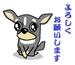pretty dog chihuahua sticker #12143491
