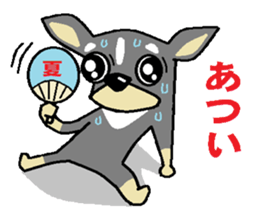 pretty dog chihuahua sticker #12143492