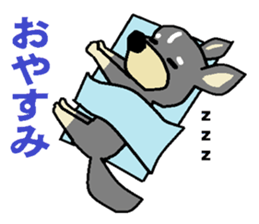 pretty dog chihuahua sticker #12143493