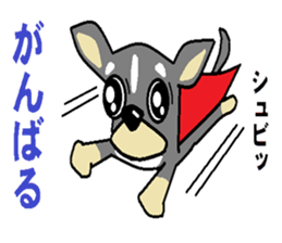 pretty dog chihuahua sticker #12143494