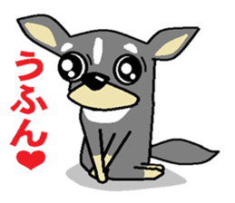 pretty dog chihuahua sticker #12143496