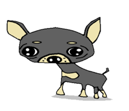 pretty dog chihuahua sticker #12143497