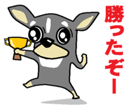 pretty dog chihuahua sticker #12143502